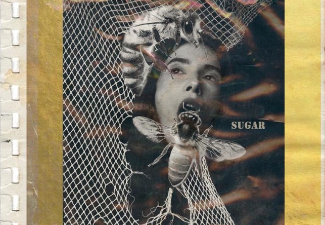 Carmen Borla, la artista argentina, presenta su single debut, «Sugar»
