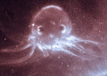 Matthew John Watts llega con «The Willful Deaf Spirit of Youth»