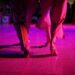 Tango, rock, jazz, cumbia, murga y poesía en las Terrazas de Verano del Teatro Argentino de La Plata