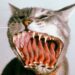 «Diamante eléctrico» está nominado a los Premios Grammyⓡ con su exitoso álbum “Leche de tigre”