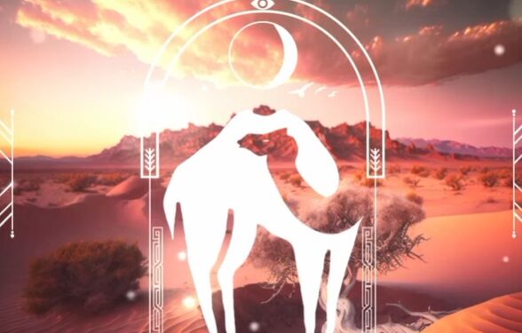 «Desierto y Agua» presenta «Abundancia», una nueva propuesta ancestral