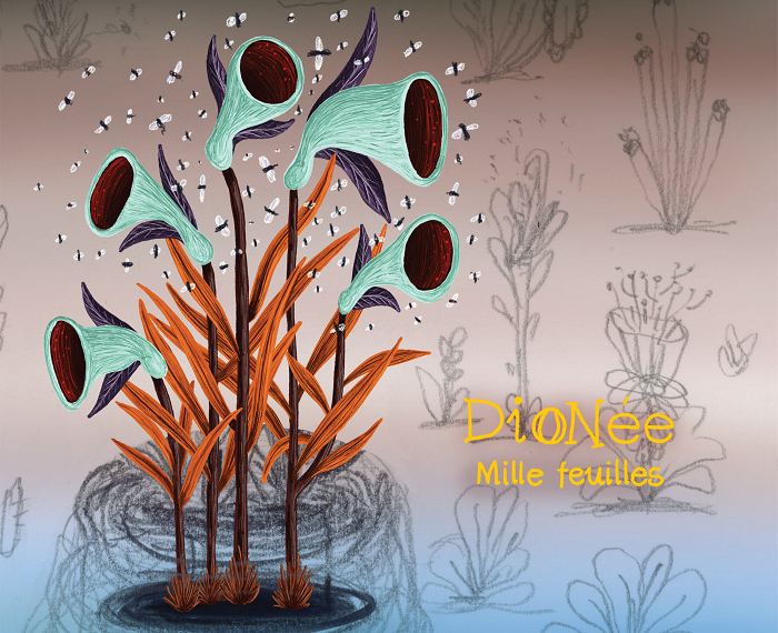 Dionée – Mille-feuilles hacen jazz/post rock de vanguardia francocanadiense